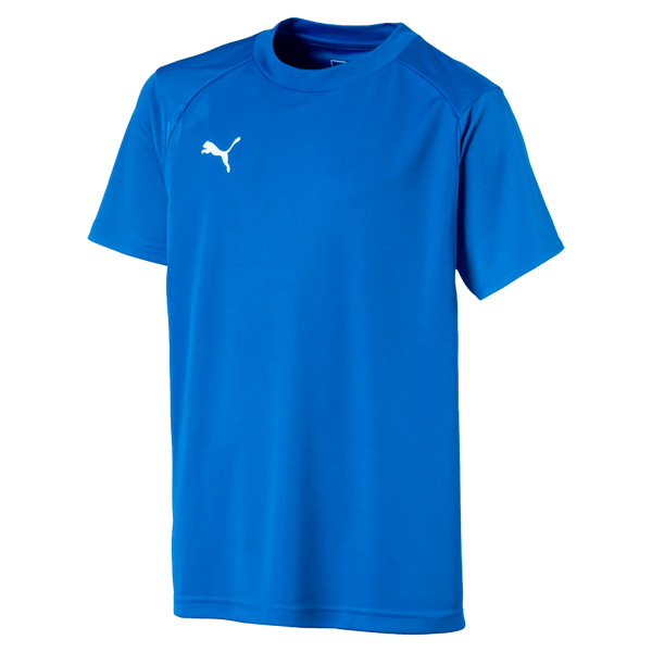 655631 02 Jersey de manga corta Liga Training Puma para niños 