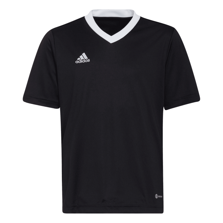 H57497 Camiseta Entrada 22 adidas unisex