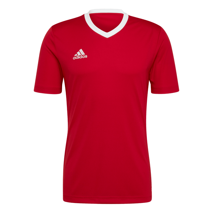 H61736 Camiseta Entrada 22 adidas para hombre