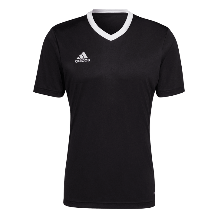 HE1573 Camiseta Entrada 22 adidas para hombre