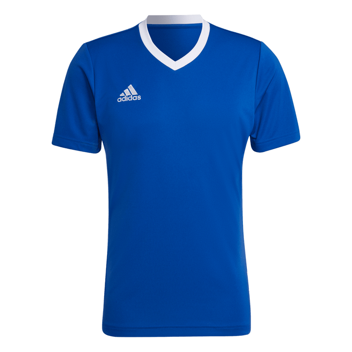 HG6283 Camiseta Entrada 22 adidas para hombre