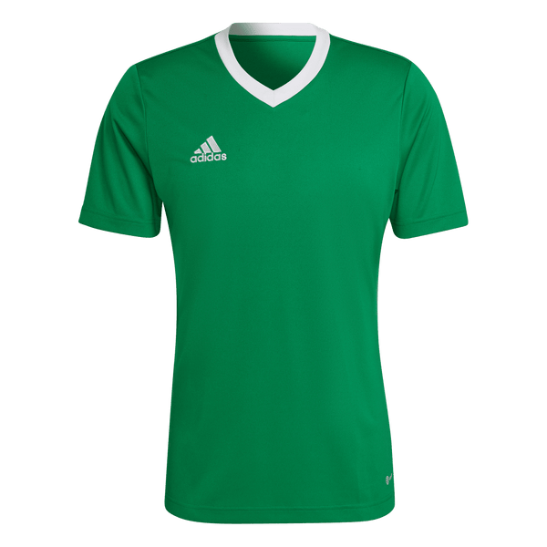 HI2123 Camiseta Entrada 22 adidas para hombre