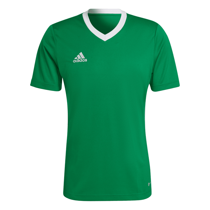 HI2123 Camiseta Entrada 22 adidas para hombre