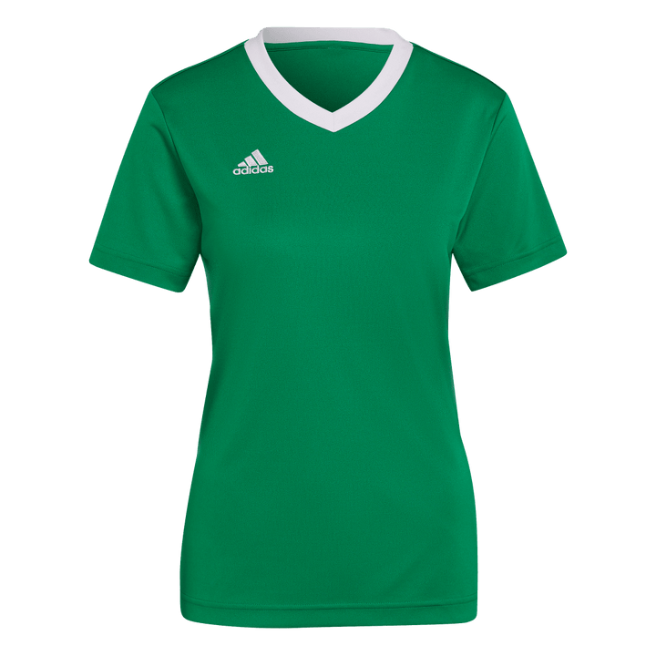 HI2124 Camiseta Entrada 22 adidas para mujer