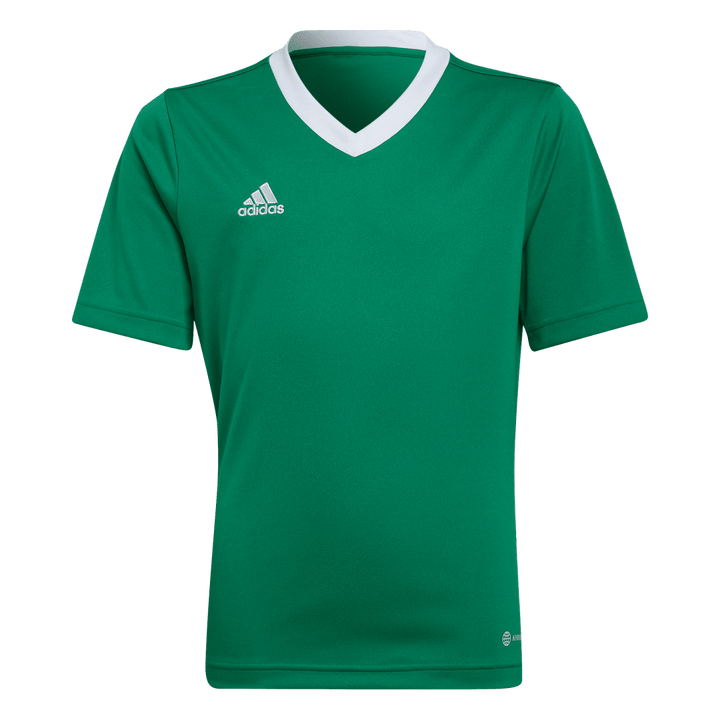HI2126 Camiseta Entrada 22 adidas unisex