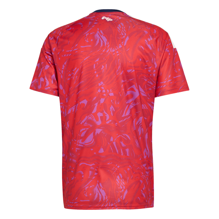 Costa Rica 26 Home Jersey. Ref: KA4039 - 2